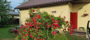 Nr.42, Palanga
